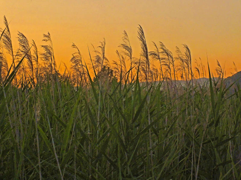 dans la douceur d'un soir