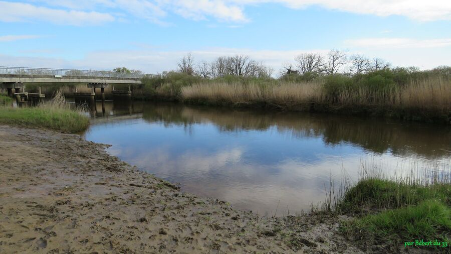le Teich en Gironde (33)