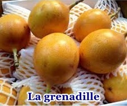 Les fruits exotiques 