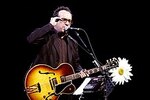 Elvis Costello : ses tubes sont dévoilés en format MP3 sur Playup