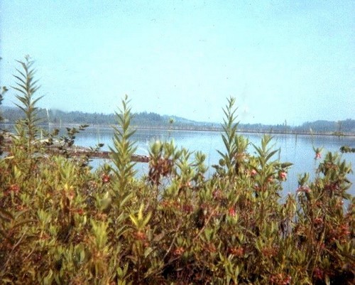 Québec 1967 : Laurentides