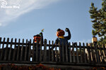 Halloween 2012 at Disneyland Paris