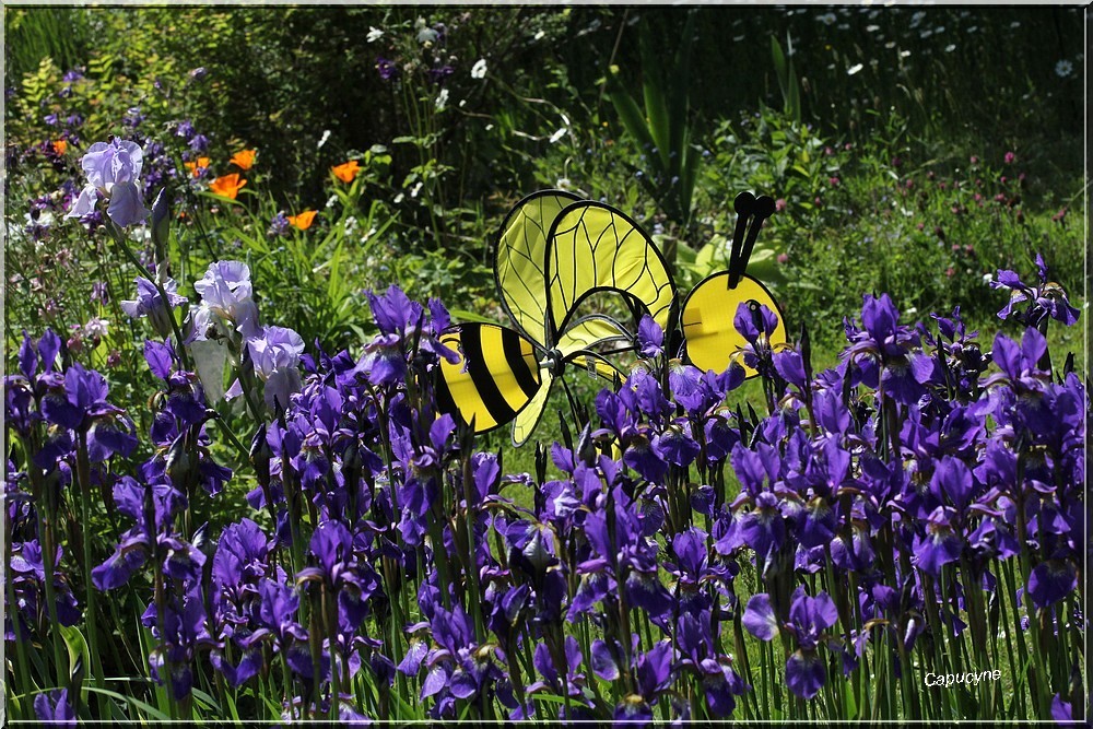 Scènes du jardin