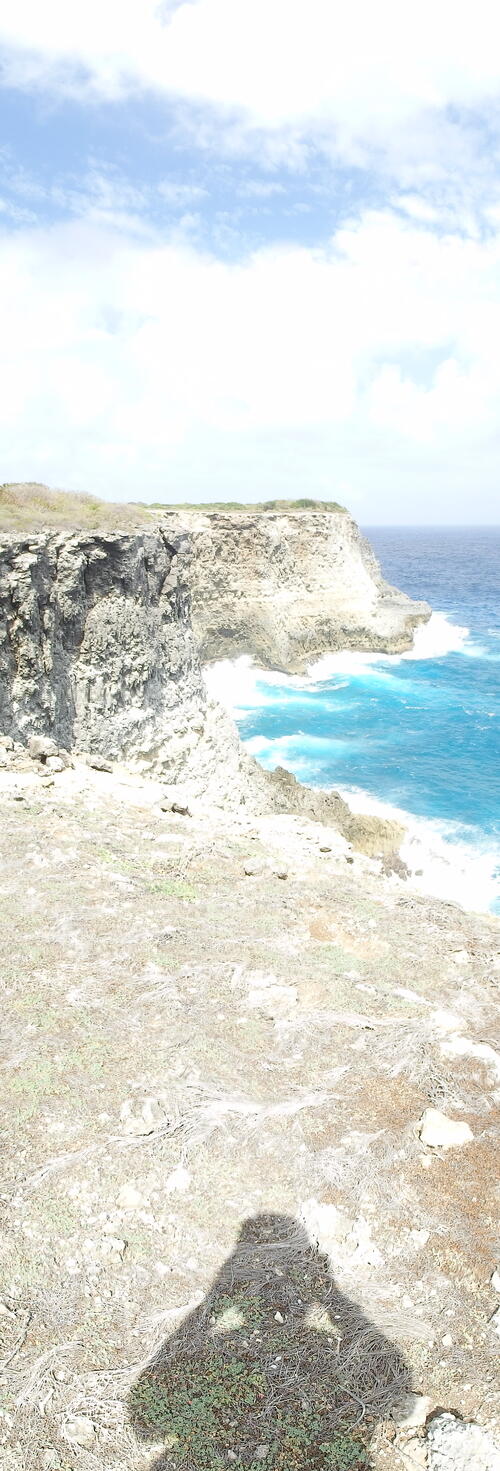 Balade " la trace des falaises" Anse Bertrand 