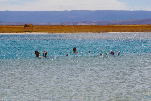 Salar de Cejas