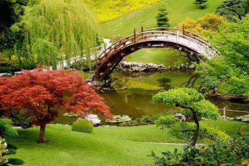Les jardins japonais ... 