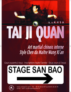 Stage avec Maître WANG XIAN du 2 au 6 mars 2013 à Oloron-Sainte-Marie (64)