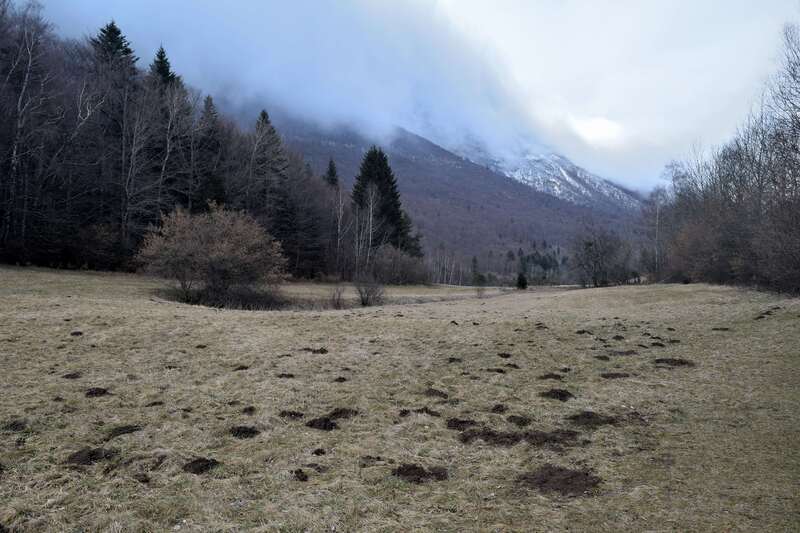 2016.02.15 Tourbière du Peuil (Isère) (1)