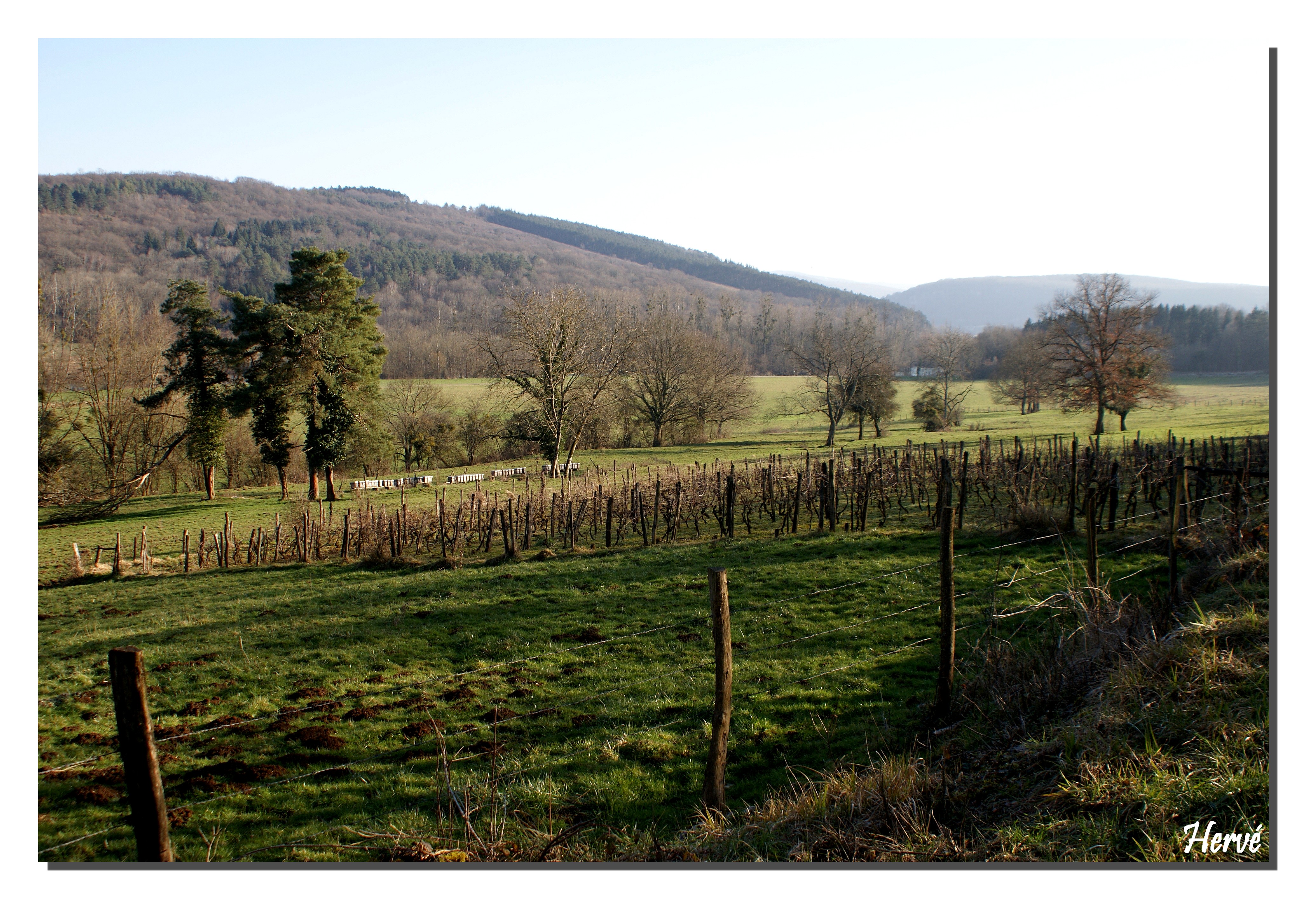 Rencontre en ligne serieuse