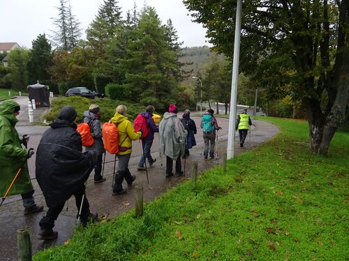 "Crocos du Canal" - Mercredi 13 novembre 2019