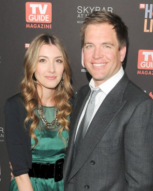 Michael Weatherly est papa