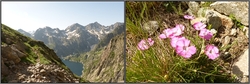  Parco Naturale delle Alpi Marittime, en deux actes (2013)