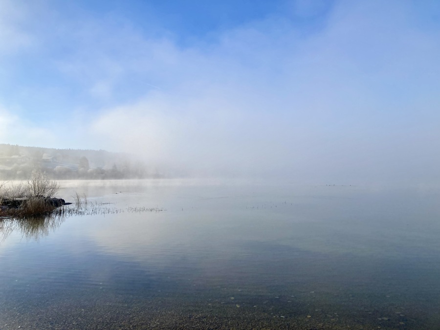 Grande série sublime (si, si) du givre et de la brume au lac de Remoray, 5