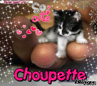 ♥Choupette♥