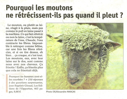 ...histoire de mouton...