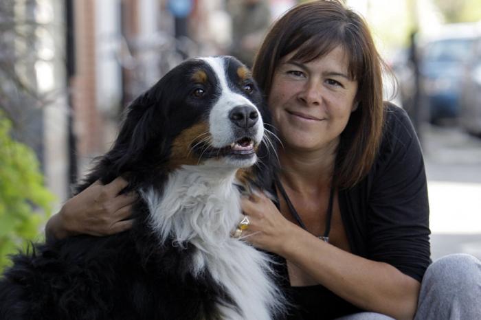Animaux Domestiques