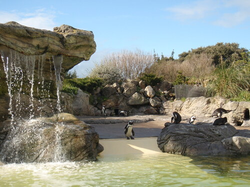 Ocearium du Croisic