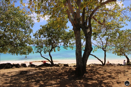 Ile Maurice, Grand Baie