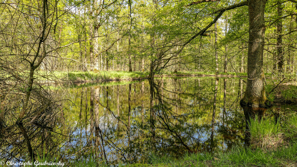 Lumière de printemps 