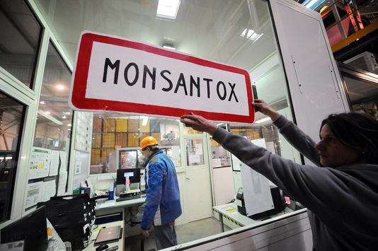 Opération d’activiste anti-OGM dans une usine Monsanto en 2014 à Trebes.