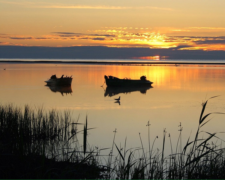 Patrimoine mondial de l'Unesco : Le delta du Danube - Roumanie -