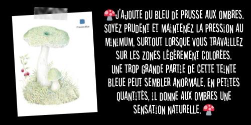 Dessin et peinture - vidéo 3360 : Comment dessiner un champignon en couleur ? - crayons de couleur. 
