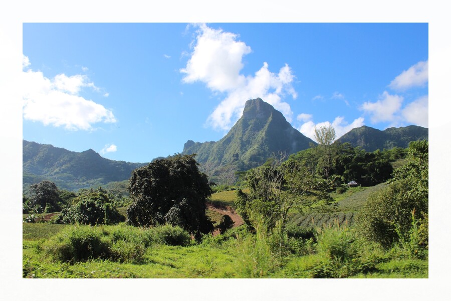 Moorea - Belvédère, montagne magique