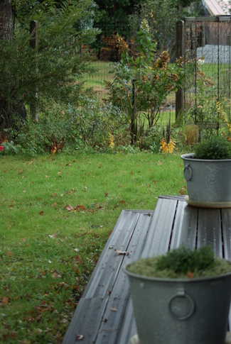 Couleurs d'automne au jardin