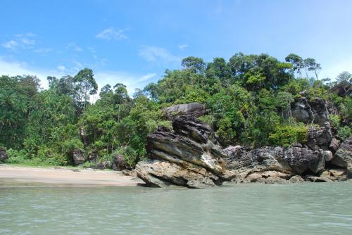Mardi 16 juillet dans la jungle à Bako