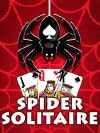 Pochette du jeu « Spider Solitaire »