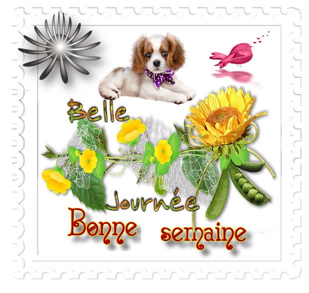 Quel bel Automne !