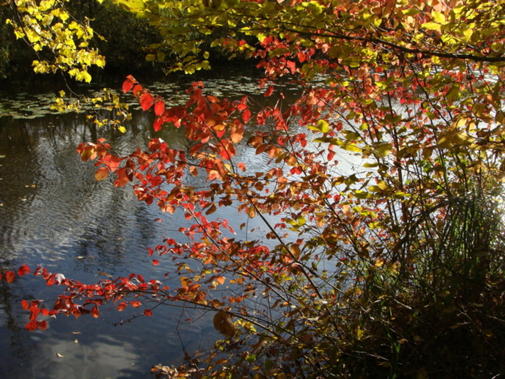 Défi Lydie Plan d'eau