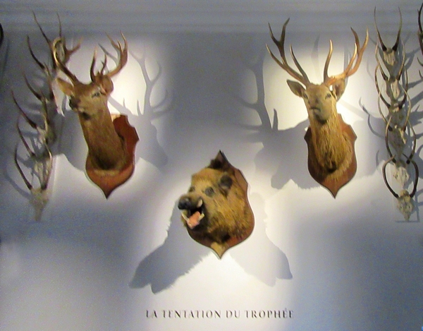 Les Amis du Musée ont visité le musée de la vénerie du Val des Choues...