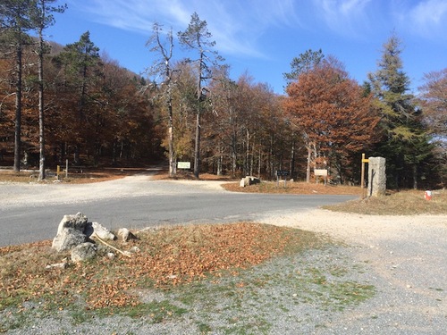 Le Bois de Miquel (L'Espérou - Aigoual)