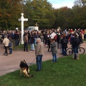 Cerf tué sur une propriété privée : manifestation des opposants à la chasse à courre