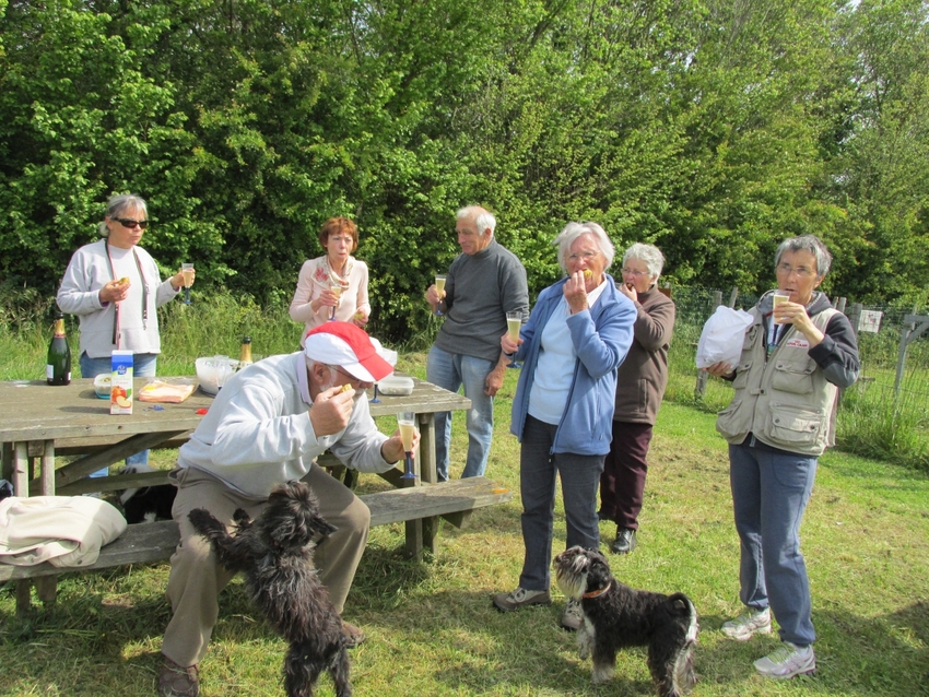 Dimanche 04 mai 2014