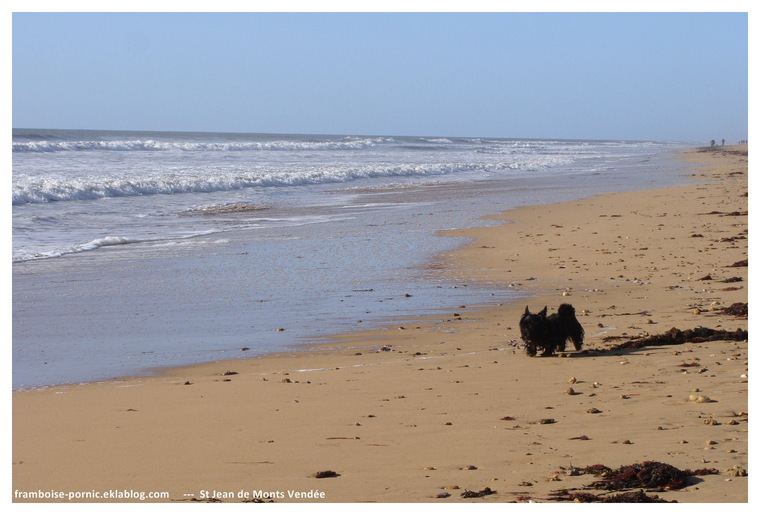 Petite virée sur St Jean de Monts en Vendée 