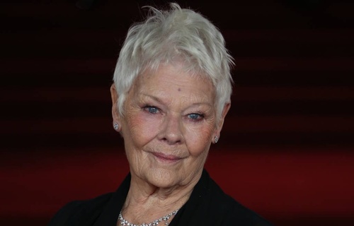 Judi Dench s'est lancée dans les courses de chevaux