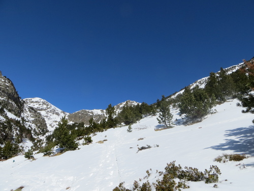 Balade luge : vallon Rialb (Ordino) - Andorre
