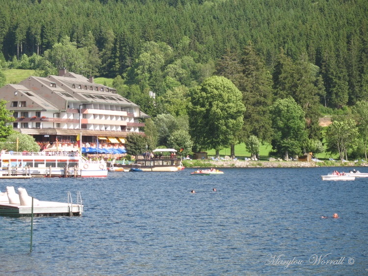 Allemagne : Titisee suite 