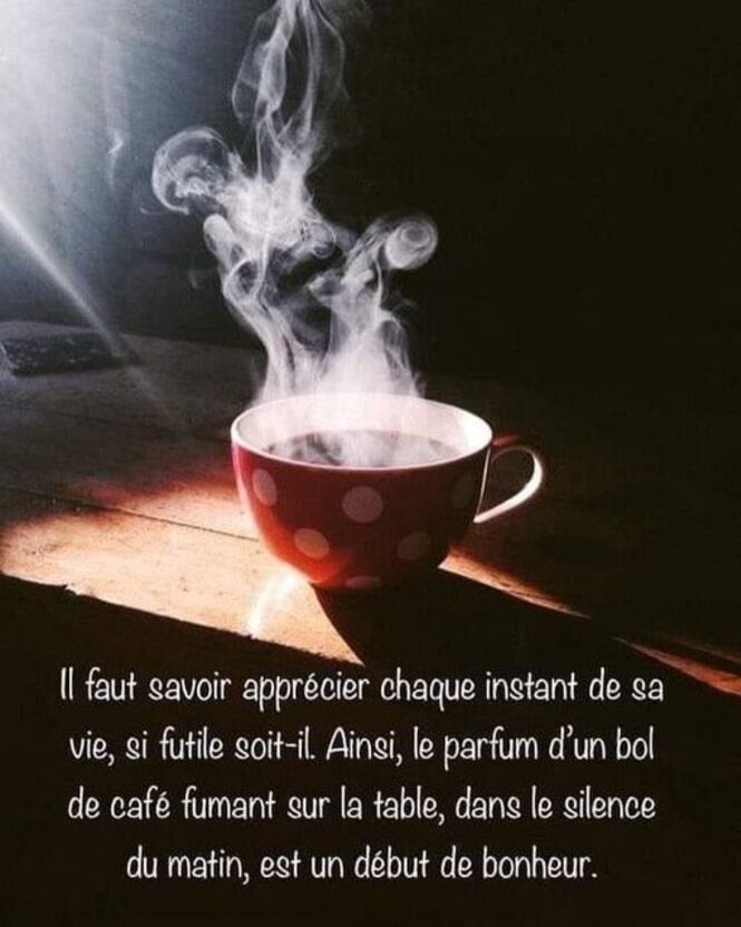 Peut être une image de tasse de café et texte qui dit ’de café fumant Il faut savoir apprécier chaque instant de sa vie, SI futile soit-il. Ainsi, le parfum d'un bol sur la table, dans le silence du matin, est un début de bonheur.’