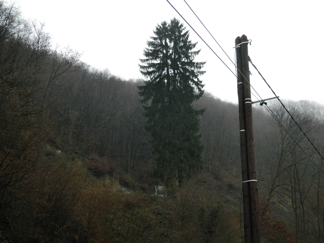 Randonnée en Ardennes