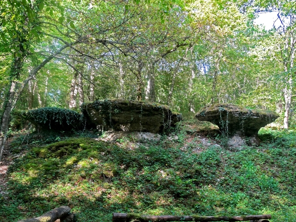 "Les tables aux loups" à Brion sur Ource...