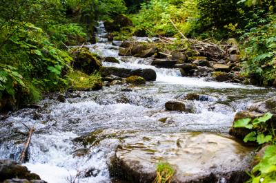 L'ARLY ET SES CELEBRES GORGES