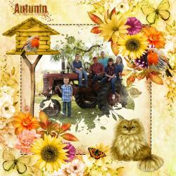 Kit & dérivés Couleurs d'automne