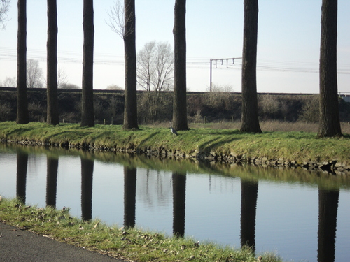  * Le long du canal de l'Espierre (3)