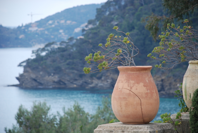 promenade dans le parc du Rayol à Canadel/Mer