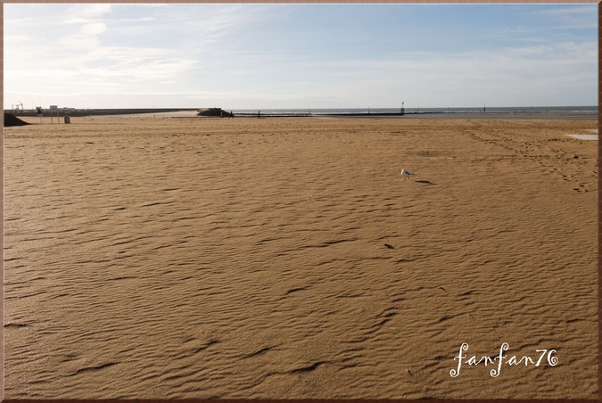                                                                                                         Jolie plage de sable