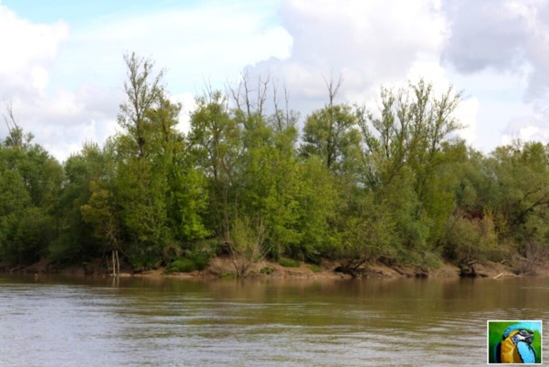 Balade sur la Garonne 2/5