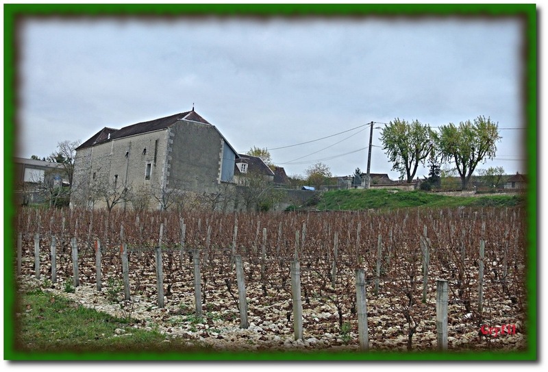 Le vignoble chablisien